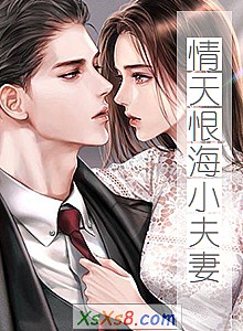 《情天恨海小夫妻》小说封面