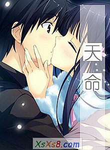 《天命》小说封面