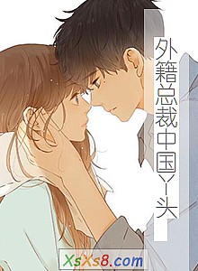 《外籍总裁中国丫头 》小说封面