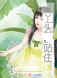 《丫头,站住》小说封面