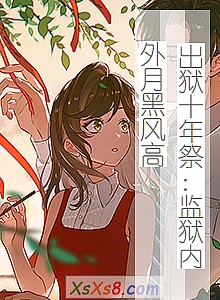 《出狱十年祭:监狱内外月黑风高》小说封面