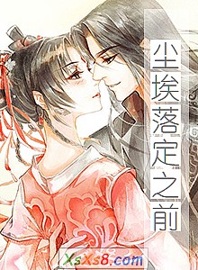 《尘埃落定之前》小说封面