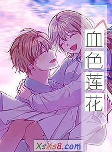 《血色莲花》小说封面