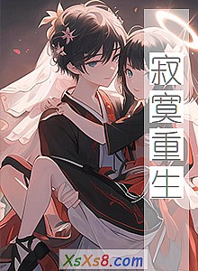 《寂寞重生》小说封面