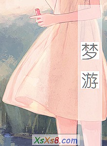 《梦游》小说封面