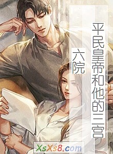 《平民皇帝和他的三宫六院》小说封面