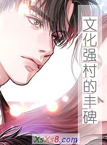 《文化强村的丰碑》小说封面