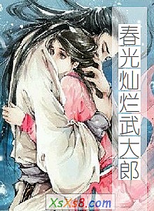《春光灿烂武大郎》小说封面