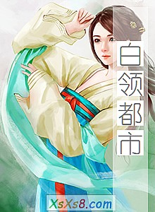 《白领都市》小说封面