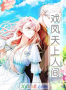 《戏凤天上人间》小说封面