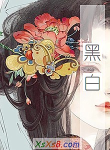 《黑白》小说封面