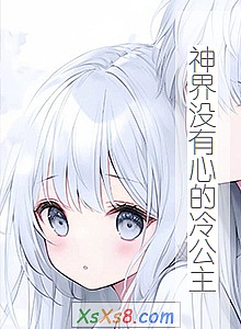 《神界没有心的冷公主》小说封面