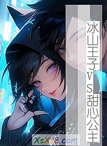 《冰山王子VS甜心公主》小说封面