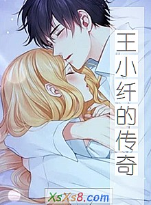 《王小纤的传奇》小说封面
