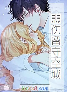 《悲伤留守空城》小说封面