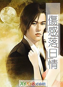 《傷感落日情》小说封面