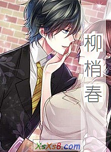 《柳梢春》小说封面