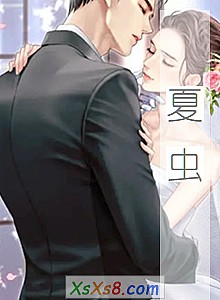 《夏虫》小说封面