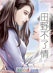 《田野不了情》小说封面