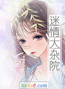 《迷情大杂院》小说封面