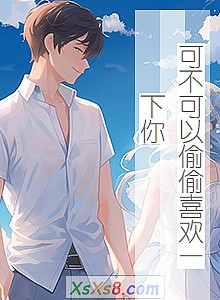 《可不可以偷偷喜欢一下你》小说封面