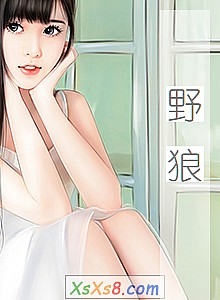 《野狼》小说封面