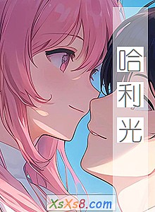 《哈利光》小说封面