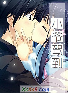 《小爷驾到》小说封面