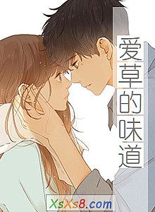 《爱草的味道》小说封面