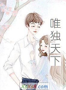 《唯独天下》小说封面