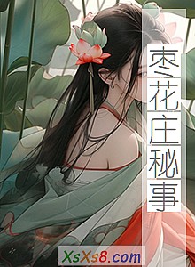 《枣花庄秘事》小说封面