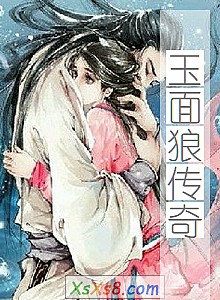 《玉面狼传奇》小说封面