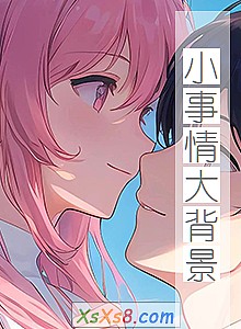 《小事情大背景》小说封面