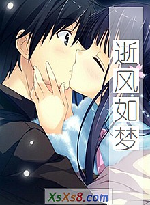 《逝风如梦》小说封面