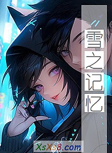 《雪之记忆》小说封面