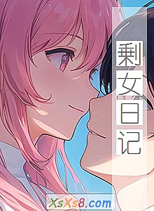 《剰女日记》小说封面